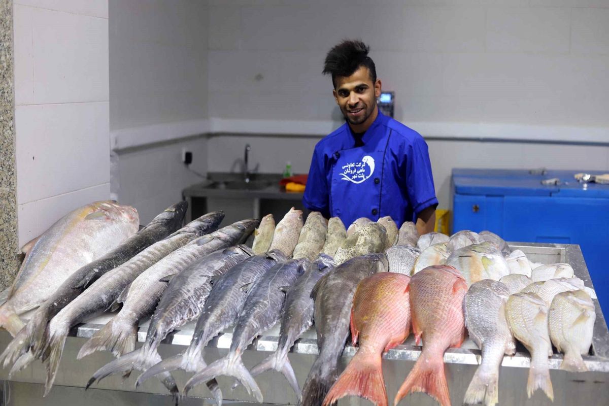 بازار ماهی فروشان بندرعباس