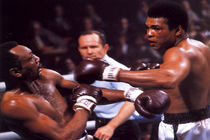 زندگی نامه کلی به بازار آمد