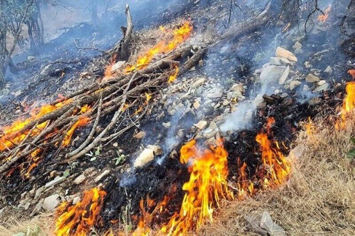 آتش سوزی پارک ملی تندوره