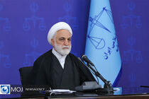 دستور رئیس قوه قضاییه به سازمان بازرسی برای پیگیری تخلفات یک شرکت در جریان واردات نهاده‌ های دامی