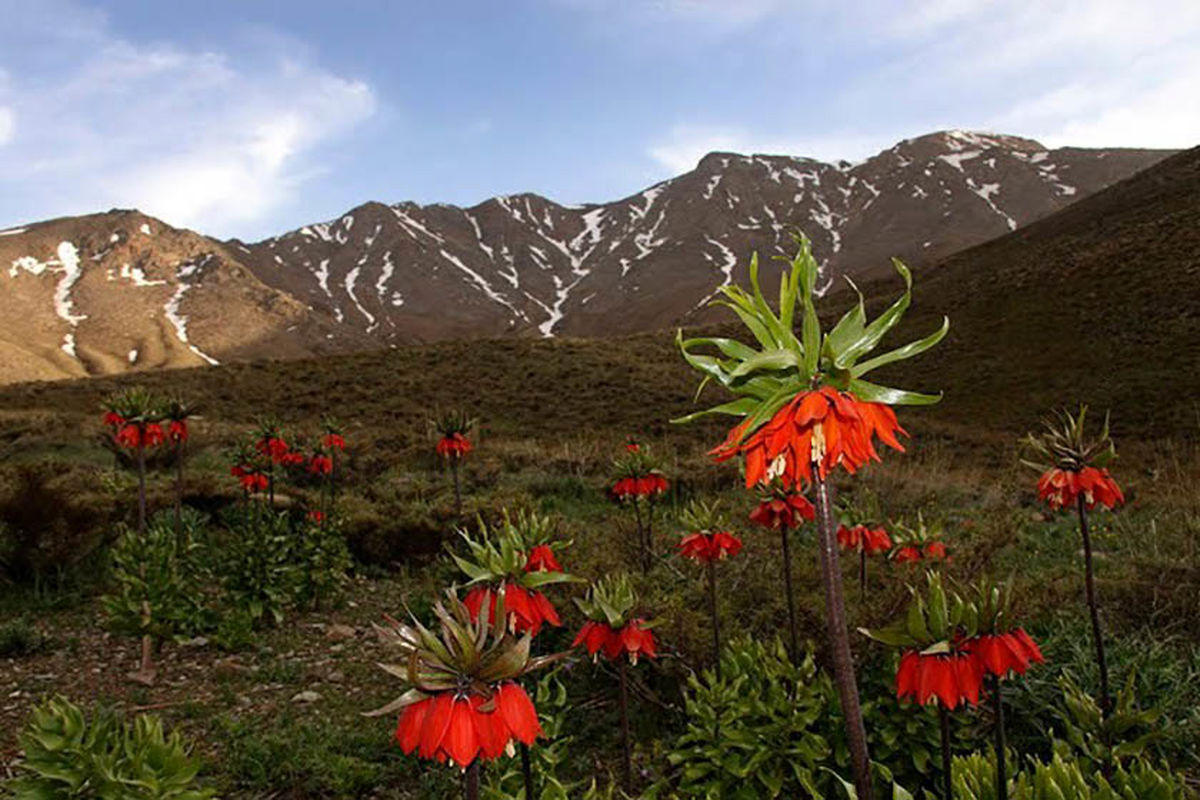 گلستان‌کوه خوانسار