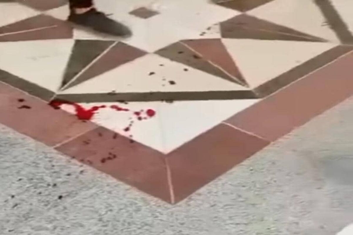 ضارب