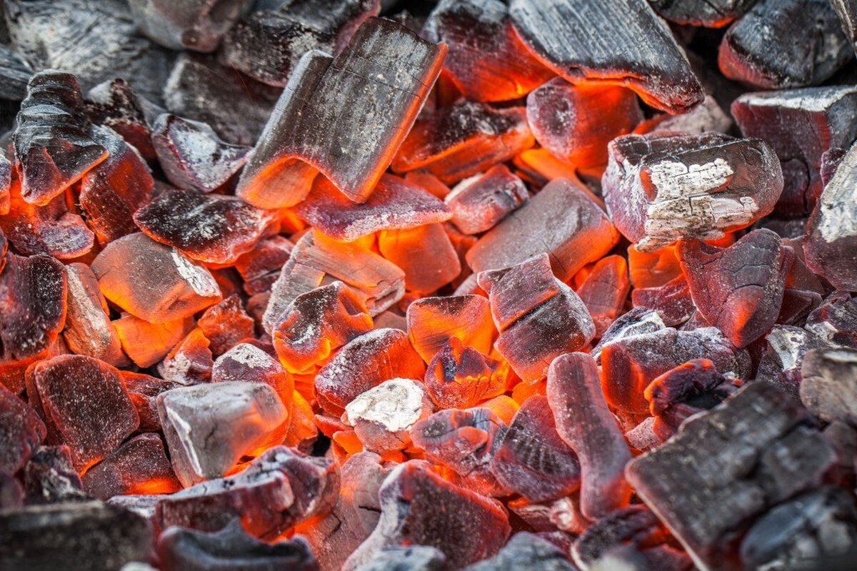 تبدیل درختان جنگلی به ذغال