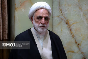 همکاری قضایی بریکس یک ضرورت است