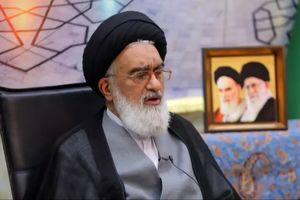  اگر پیام تشیع به مردم جهان برسد «یدخلون فی دین الله افواجا» اتفاق می‌افتد