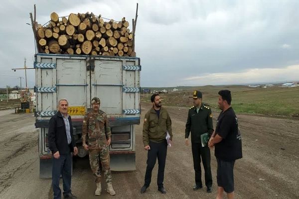 ۱۵ تن چوب قاچاق در قزوین کشف شد