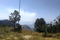 جنگل های ذلقی الیگودرز دچار حریق شد