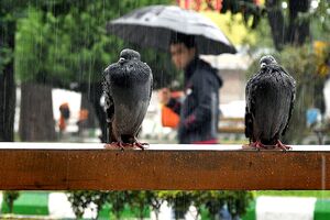 بارش کمتر از نرمال در اکثر مناطق کشور طی پاییز ۱۴۰۰