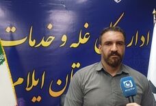 خرید ۲۴۹ هزار تن گندم در ایلام؛ ۹ همت از مطالبات کشاورزان پرداخت شد