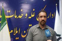 خرید ۲۴۹ هزار تن گندم در ایلام؛ ۹ همت از مطالبات کشاورزان پرداخت شد