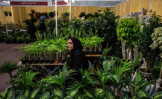 رامسر میزبان 125 مهمان داخلی و خارجی در سمپوزیوم بین المللی گل و گیاه