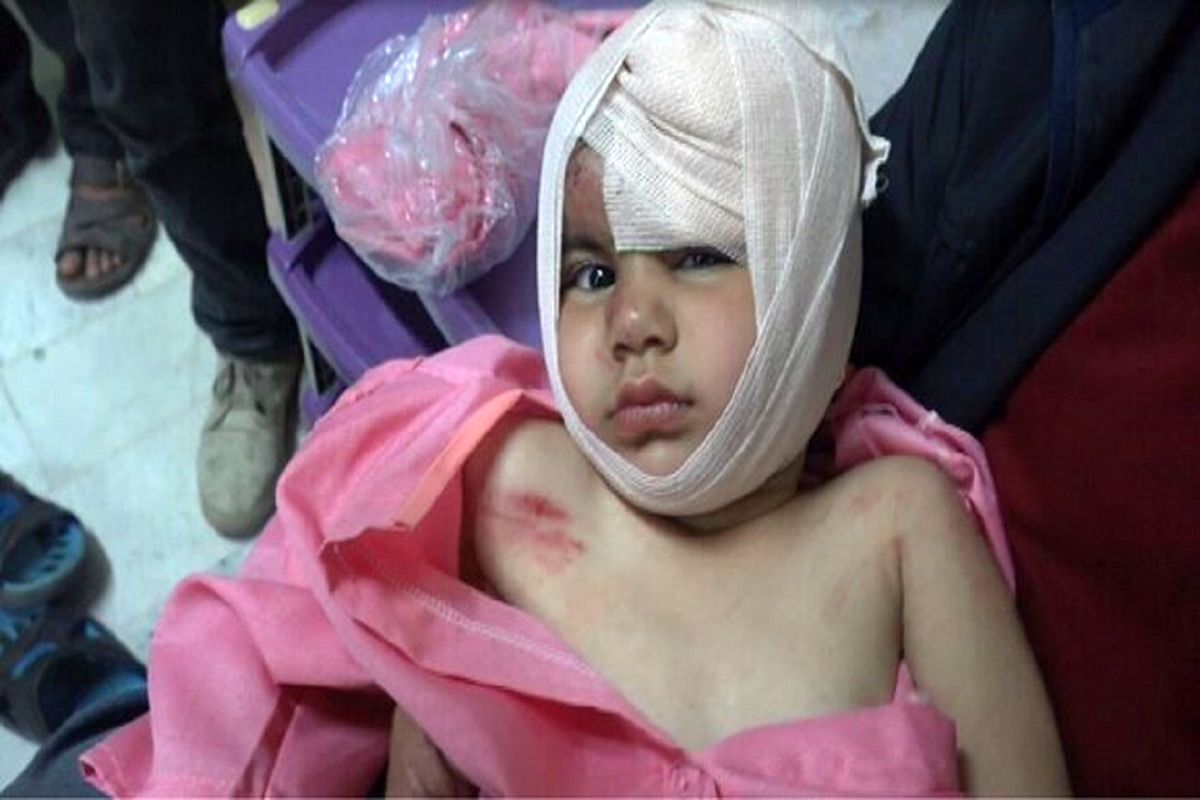 حمله گرگ در خلخال