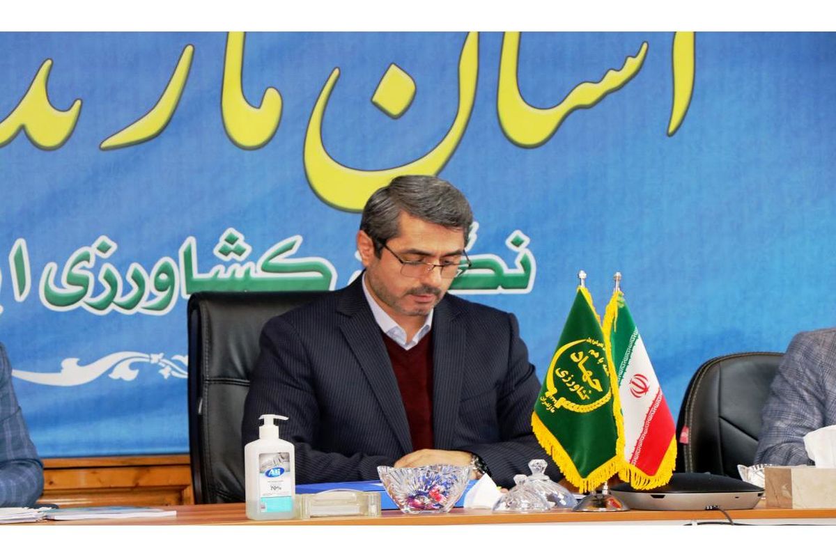 رنجبر سرپرست سازمان حفظ نباتات کشور