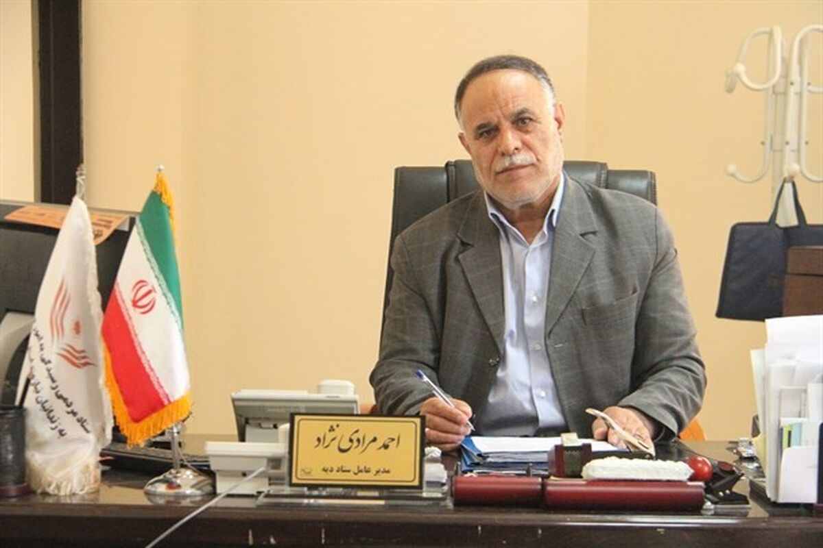 مرادی نژاد