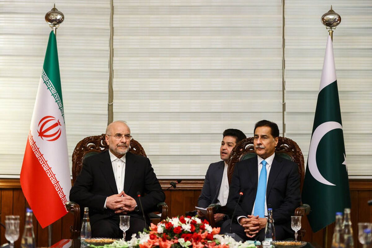 رئیس مجلس شورای اسلامی در دیدار با رئیس مجلس ملی پاکستان