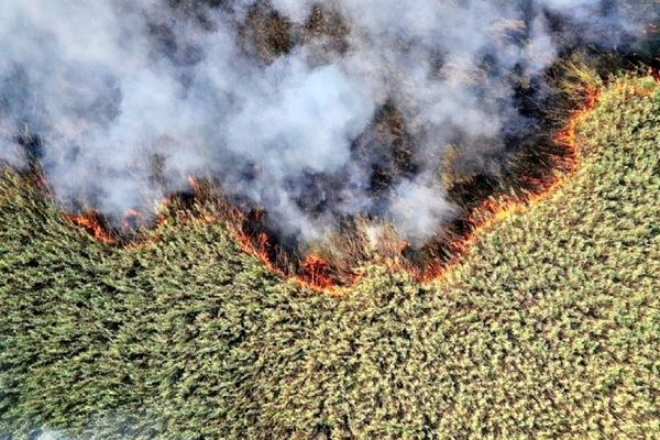 آتش بر جانِ هور