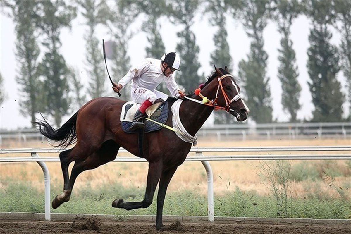 پیست اسبدوانی گنبد
