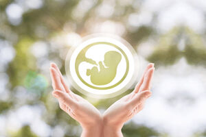 حمایت ۱۴۰ میلیون تومانی بیمه‌ای از زوجین نابارور در اردبیل