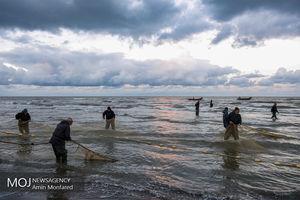 صیادان بی حاصل