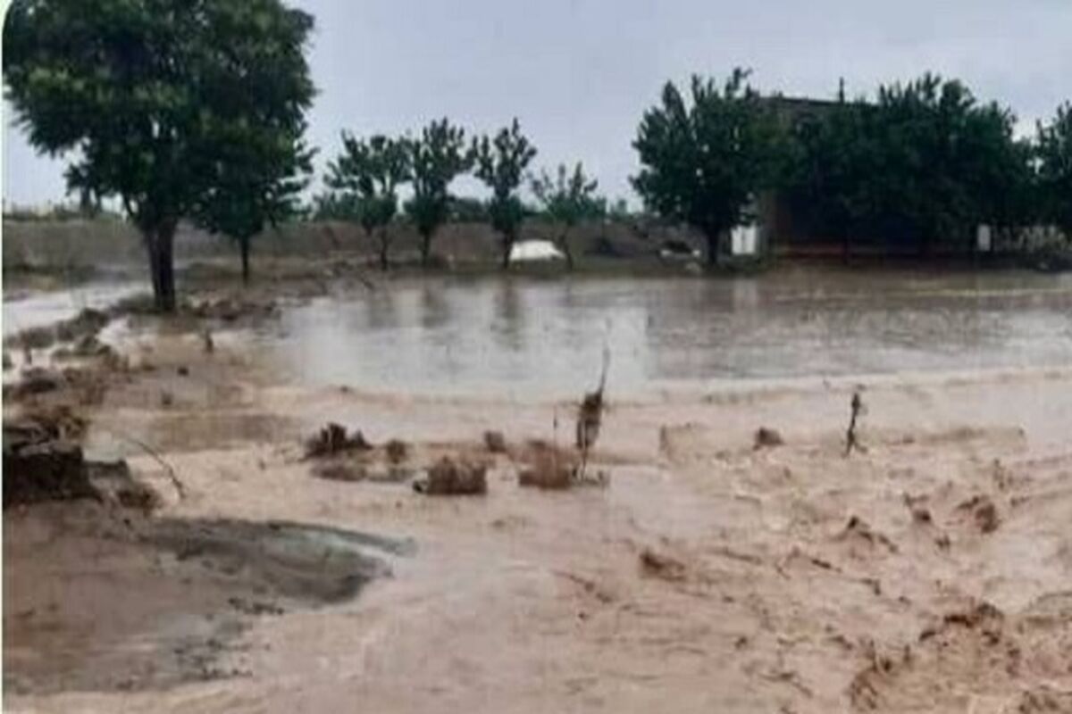 وضعیت جوی