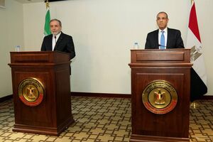 وزیر خارجه مصر از تقویت روابط ایران و کشورهای حاشیه خلیج فارس استقبال کرد