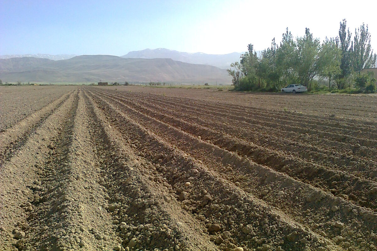 زمین‌های کشاورزی