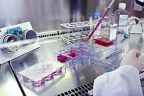 فراخوانی برای اعطای گرنت پژوهشی