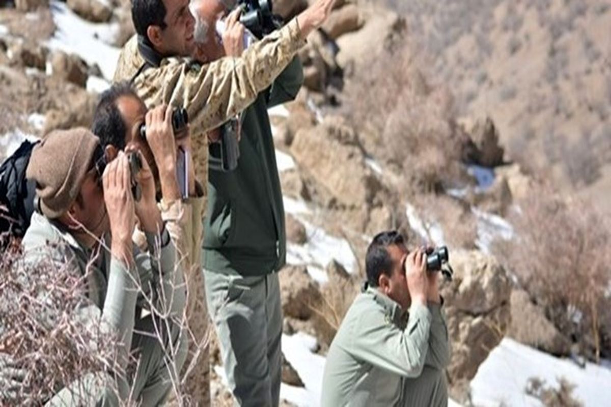 دستگیری شکارچیان غیر مجاز