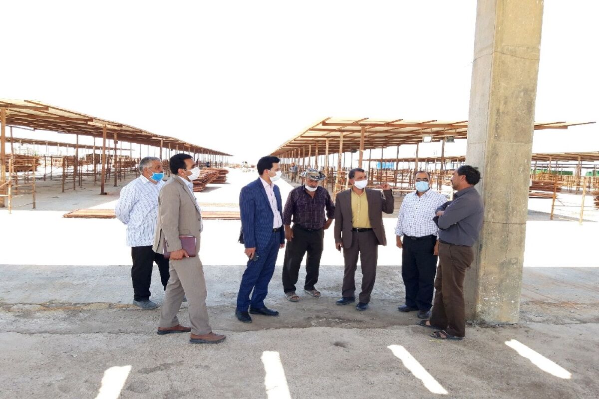 بازدید