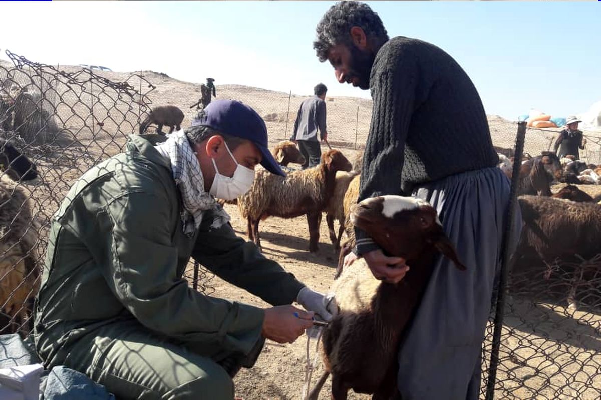 دامپزشکی همدان