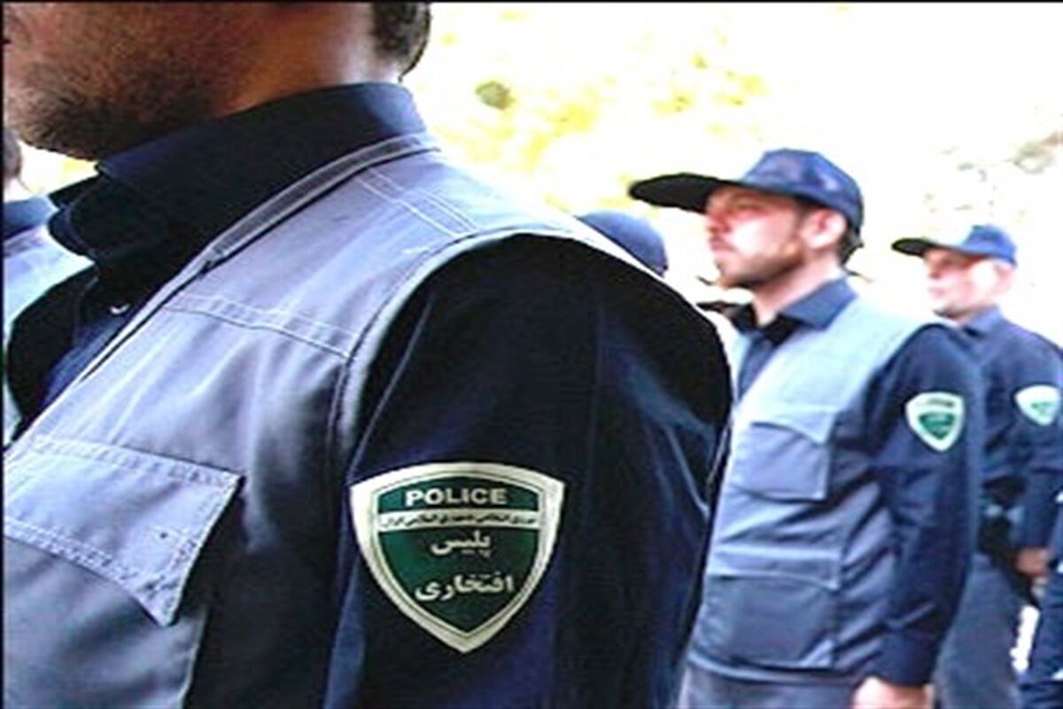 پلیس افتخاری
