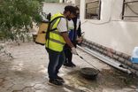 سومین مرحله پویش «کیش؛ همدل و پاکیزه» با محوریت مقابله با پشه آئدس اجرا شد