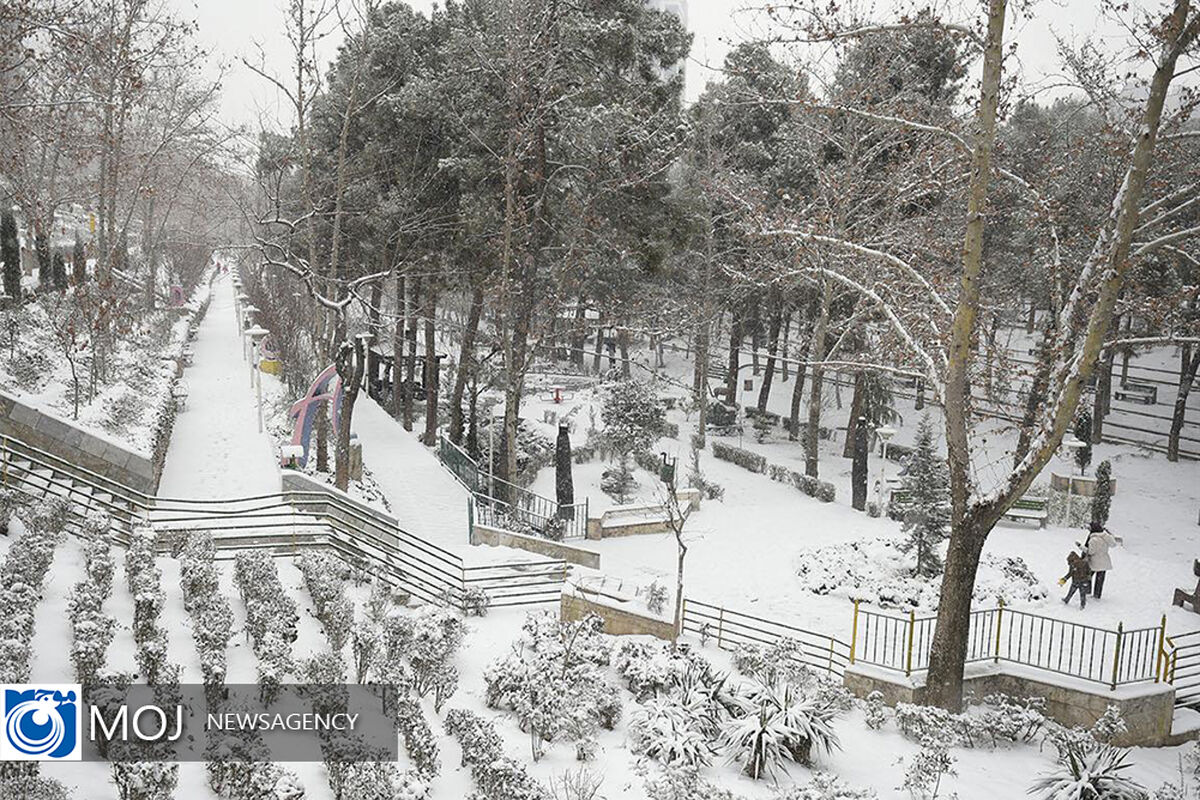 بارش برف در تهران