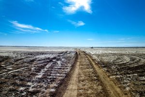 تالاب گاوخونی باید سریع تر احیا شود