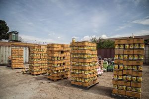 ۵۰۰ عامل اصلی کالای قاچاق در مرزها فعالند