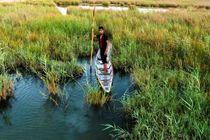 حفاظت از تالاب شادگان و محیط زیست مستلزم مشارکت مردمی است