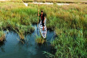 پیگیری تامین حقابه تالاب بین المللی شادگان
