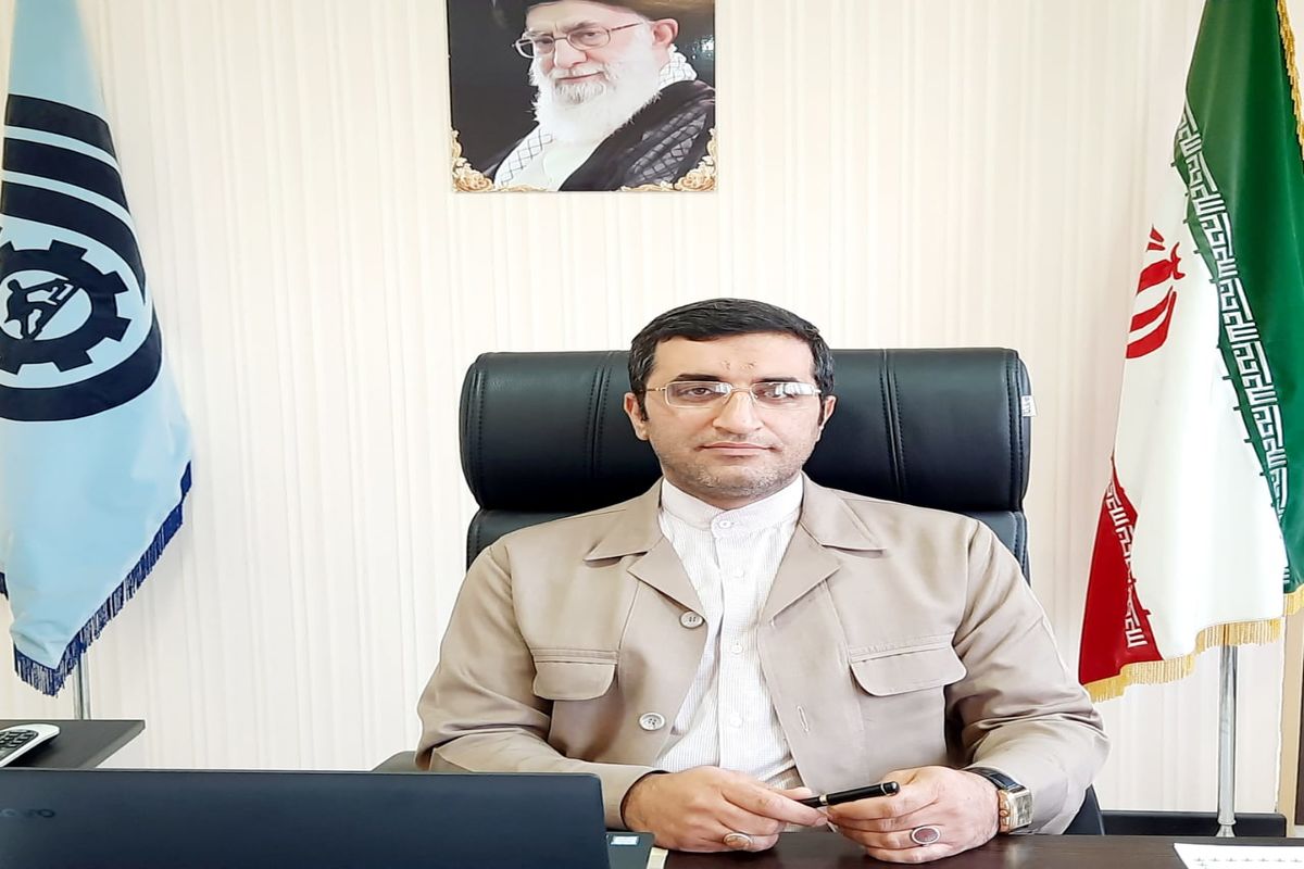 علیرضا ملک پور 4