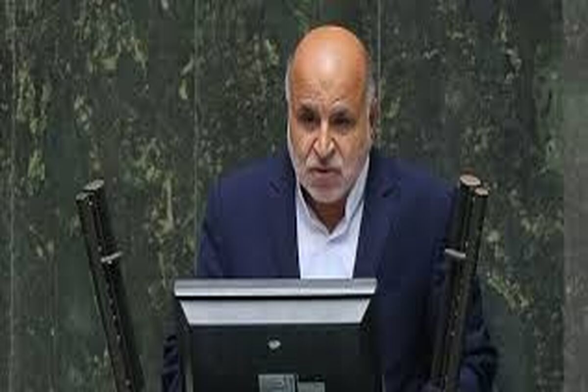 نماینده نطنز