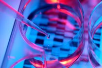 ساخت کرم ضد آفتاب با استفاده از DNA