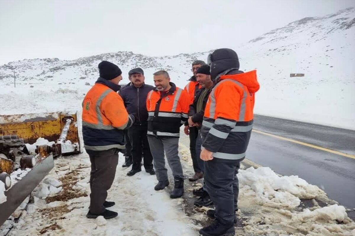 برف روبی + فارس