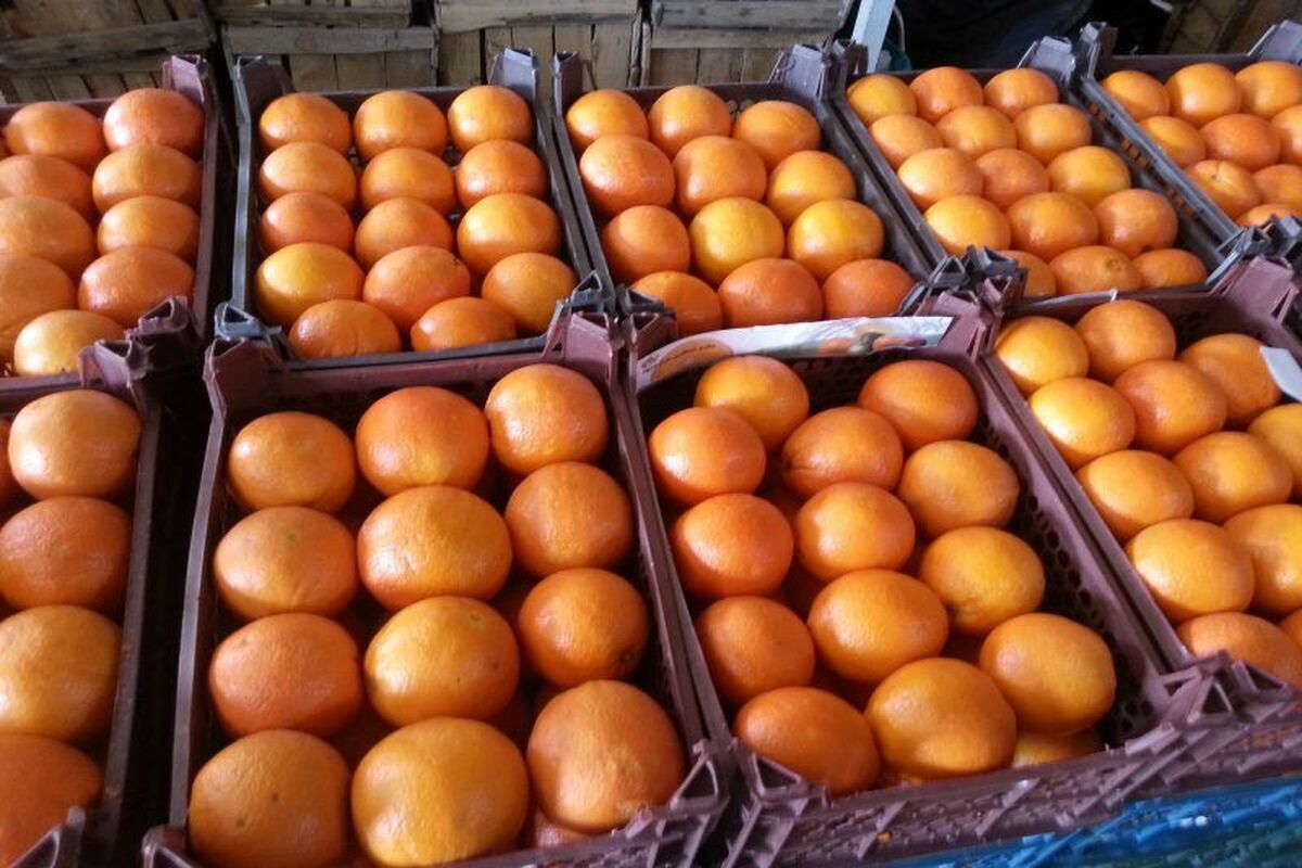 میوه شب عید