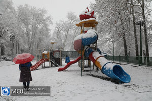 روز برفی در پارک نیاوران