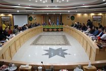 پرداختن به موضوع پیشگیری به مراتب کم هزینه‌تر و منطقی‌تر است/بایستی برنامه محور عمل کنیم 