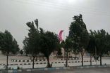بارش در تهران در پی وزش باد شدید و گرد و خاک تضعیف می شود 