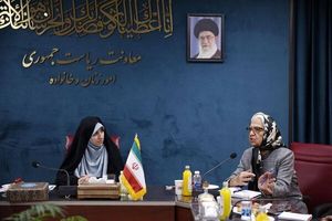 تعامل دانشگاه‌ها و دولت برای حل چالش‌های زنان و خانواده ضرورت دارد 