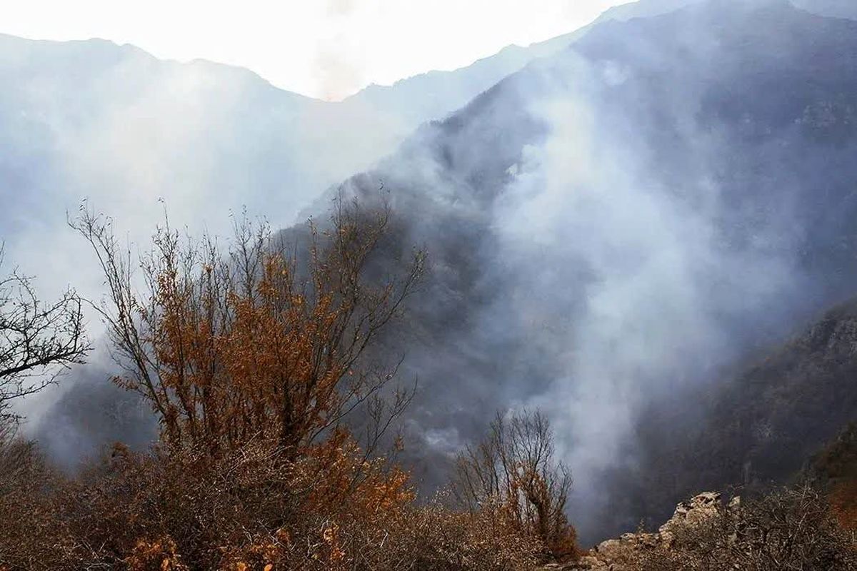 آتش سوزی جنگل های الیت