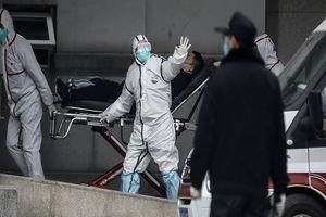 تعداد قربانیان ویروس کرونا به ۱۳۱۰ نفر رسید