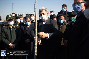 کاشت ۱۷۶ اصله نهال به یاد شهدای حادثه هواپیمای اوکراینی