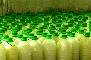 کشف یک تن آبلیموی تاریخ گذشته در اصفهان